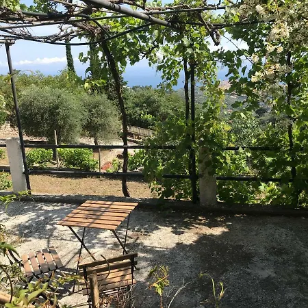 Vista