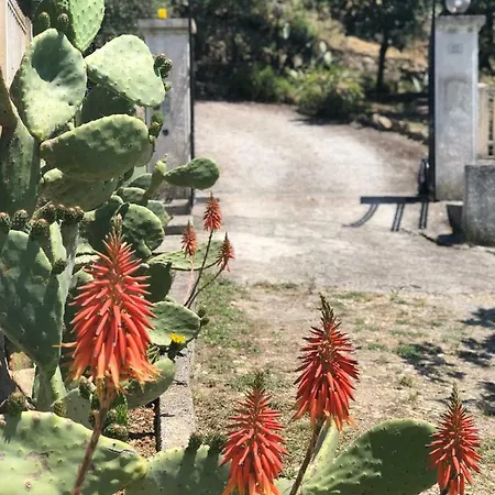 Vista * Imperia